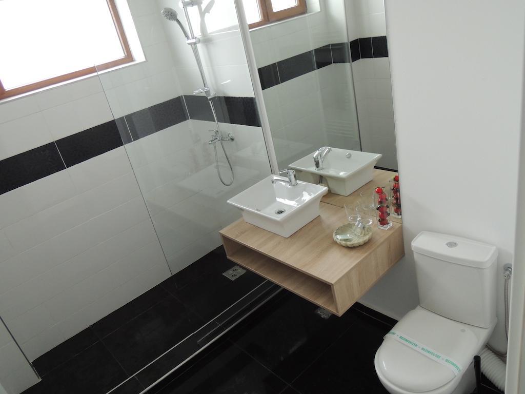 Guest house Pensiunea Sada
